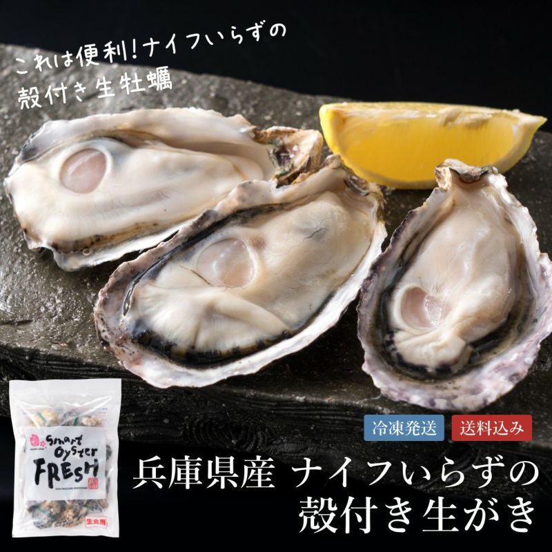兵庫県産 ナイフいらずの殻付き生がき