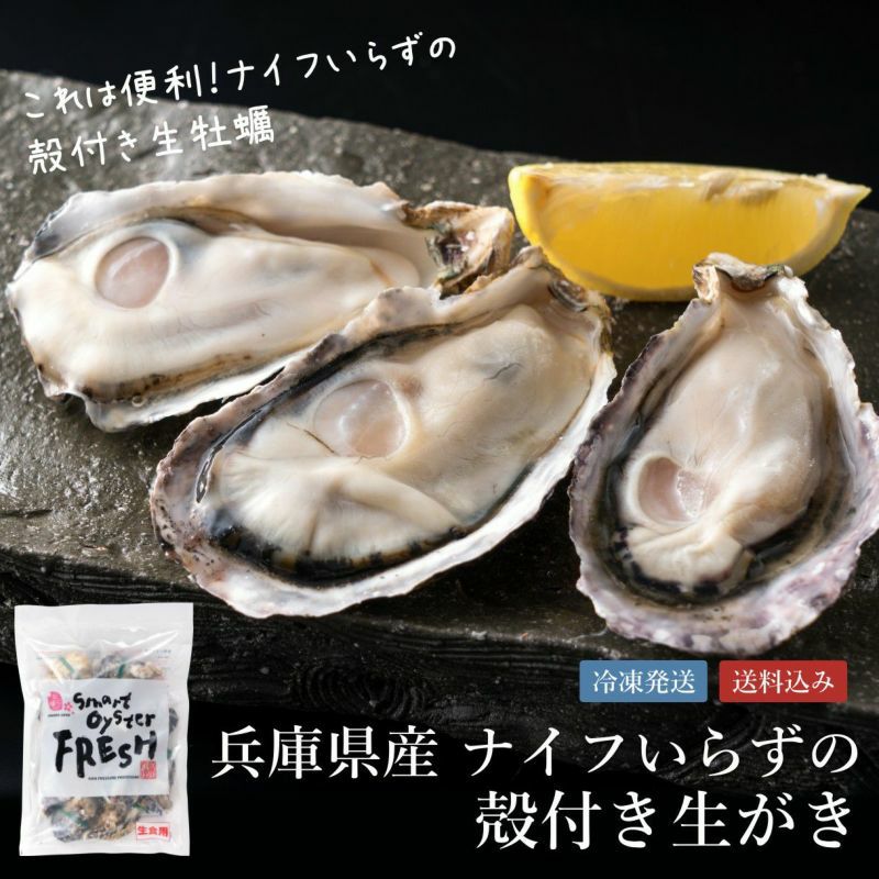 兵庫県産 ナイフいらずの殻付き生がき