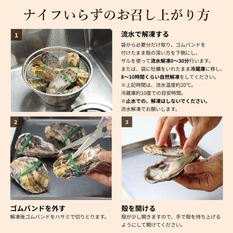 絶品　生牡蠣　カキ　10キロ(約100個前後)軍手ナイフ付　伊万里湾産　送料無料 KlmLa6g2UcLi6SUzB-